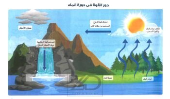 خريطة دور القوة فى دورة المياة