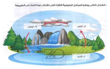 صورة مراحل دورة المياة فى الطبيعة